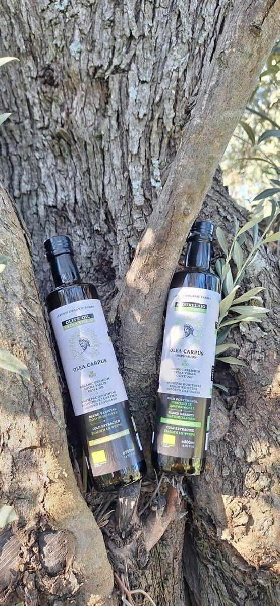 Δύο φιάλες Olea Carpus σε όρθια σύνθεση πάνω σε κορμό ελιάς